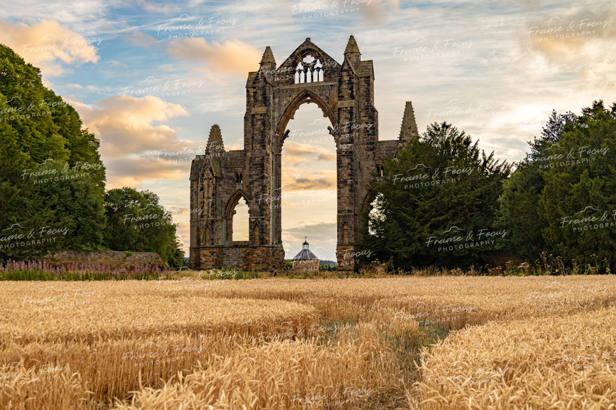 To buy a print or any of the below please click on the images